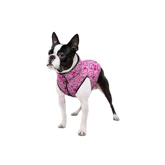 Курточка для собак WAUDOG Clothes малюнок "Смайли на рожевому", M50, В 76-79 см, С 55-61 см Київ