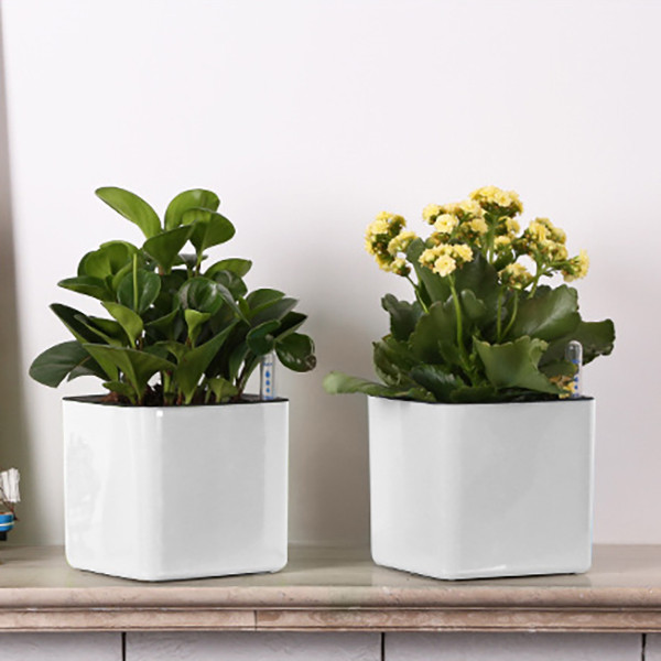 Горщик для квітів з системою автополиву XL 20 х 20 х 19,8 см Київ - фото 5