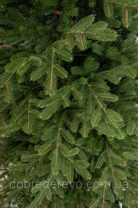 Штучна ялинка лита, Ялинка лита Альяска Вижниця - фото 4
