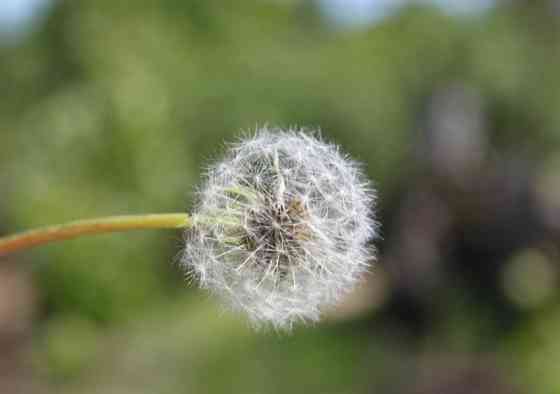 Фотоаппарат Зеркальный цифровой: Canon 500D+16Gb. SD. Харьков