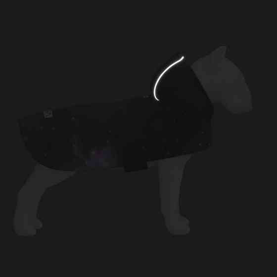 Дощовик-накидка з капюшоном для собак WAUDOG Clothes, малюнок "NASA21", L, А 48-52 см, B 60-70 Коломыя