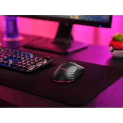 Мишка Trust GXT 926 Redex II Wireless/USB-A/USB-C Black (25126) Вінниця