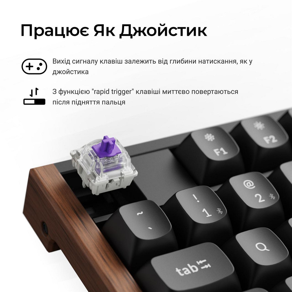 Клавіатура бездротова Keychron K10 HE Magnetic Switch Black RGB (K10H-F1-UA) ( 25833 ) Харьков - изображение 11