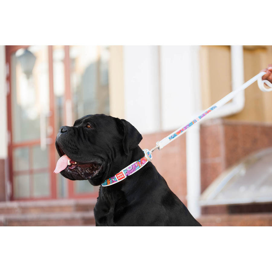 Нашийник для собак шкіряний WAUDOG Design з QR паспортом, малюнок "Літо", Ш 35 мм, Д 46-59 см, білий Вінниця - фото 7