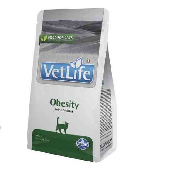 Сухий корм Farmina Vet Life Obesity для котів дієтичне харчування для зниження зайвої ваги, 400 г Київ