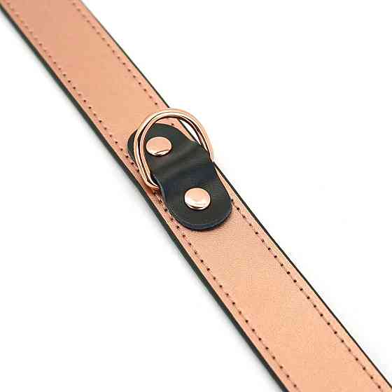 Нашийник із затискачами для сосків Liebe Seele Rose Gold Memory Collar with Nipple Clamps, шкіра Sex Aura Київ