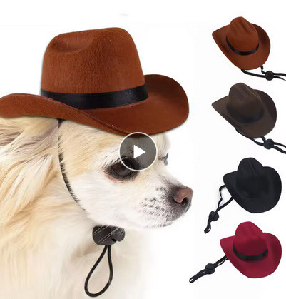 Капелюх для собак коричневий розм S Київ - фото 1