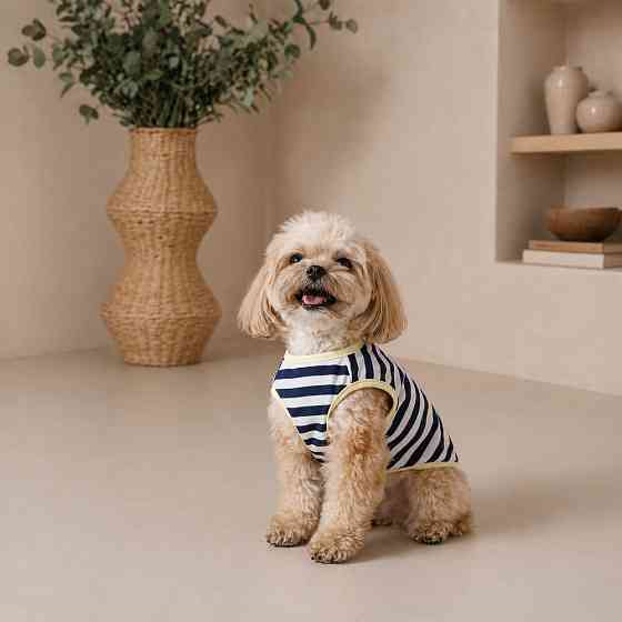 Майка Pet Fashion Tropic для собак Київ