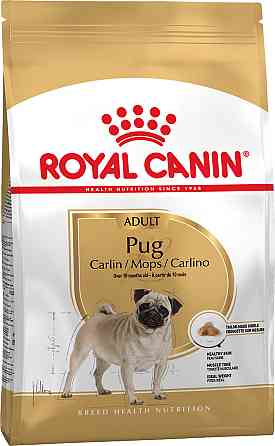 Корм для дорослих собак породи Мопс ROYAL CANIN PUG ADULT 1.5 кг Київ