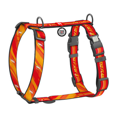 Шлей для собак WAUDOG Nylon H-образная с QR-паспортом "Флэш Лого", светоотражающая S (343-1083) Винница - изображение 1