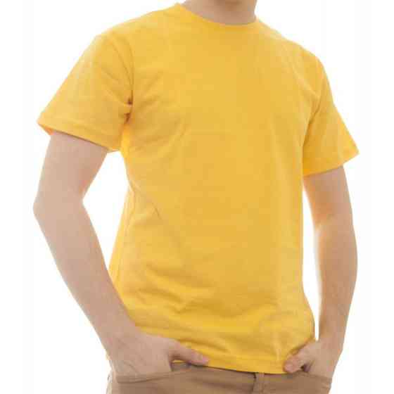 Футболка чоловіча Lans 12/001 Київ