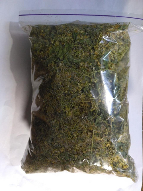 Золотарнік звичайний (Золотарник обыкновенный) 100г master sem Киев - изображение 3