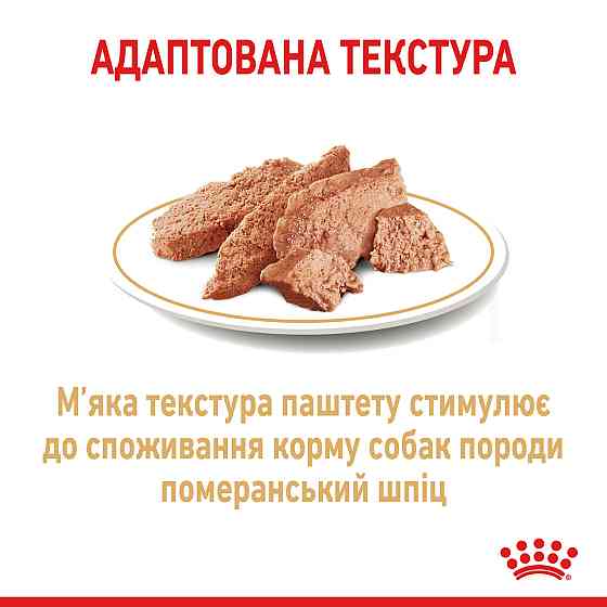 Вологий корм для собак породи Померанський шпіц ROYAL CANIN POMERANIAN ADULT паштет 85 г Київ