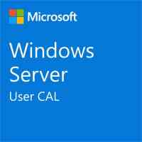ПЗ для сервера Microsoft Windows Server 2025 CAL - 1 User CAL - 1 year Subscription, Commercial, Annual (DG7GMGF0PWHT_0004_P1Y_A) Киев