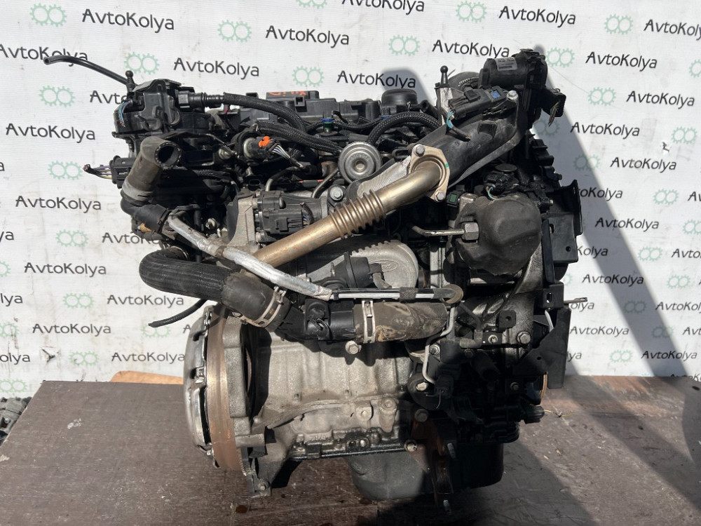 Двигун Ford Fiesta 1.5 tdci 2015-2017 (XUJA) Ковель - изображение 5