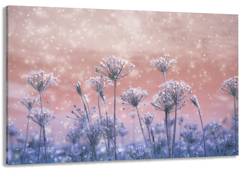 Картина холст в гостиную / спальню   Квіти    MLP_227 40x80 см Киев - изображение 1