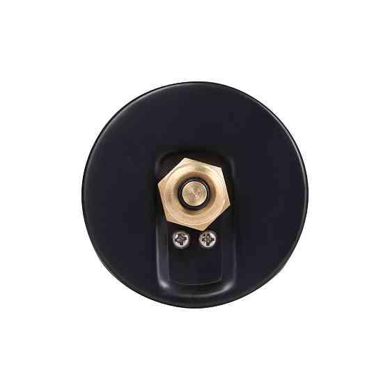 Термоманометр Thermo Alliance Standart 80 мм 1/2", заднє під'єднання SD17310B Київ