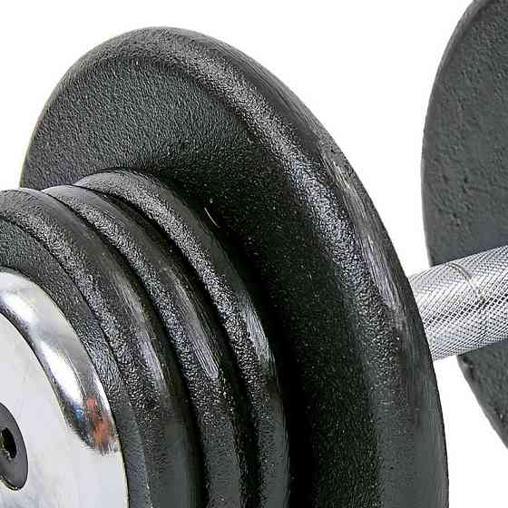 Гантель 20 кг цільна професійна RECORD-7231-20 Київ