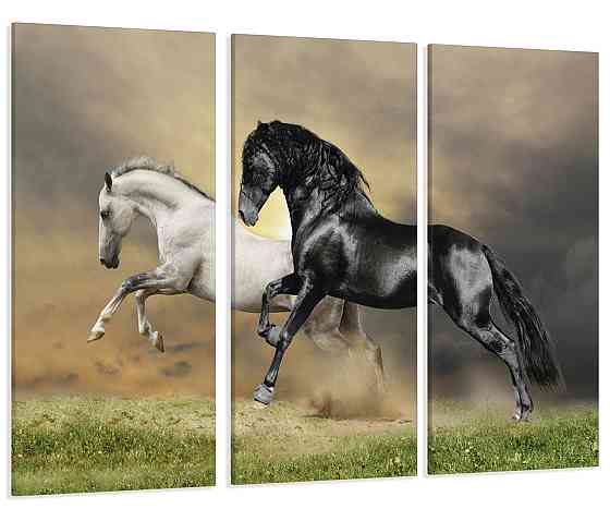 Модульная картина Пара Лошадей Art-73_XXL 53x100 см Киев