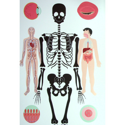 Книга Тіло людини - Кристина Перабоні Жорж (9786177853199) Винница - изображение 9