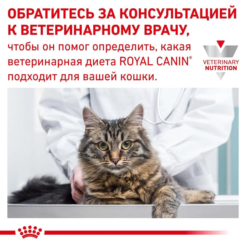 Royal Canin Maxi Puppy (Роял Канін Максі Паппи) сухий корм для цуценят великих порід Запоріжжя - фото 8