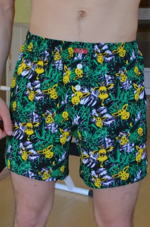 Труси чоловічі сімейні Lans L 01/040 Жирафи, M Київ