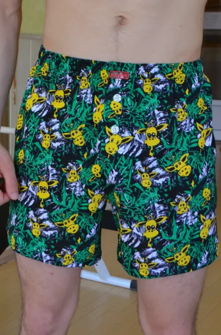 Труси чоловічі сімейні Lans L 01/040 Жирафи, M Київ - фото 1