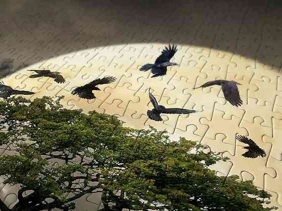 Пазл Зроблена з колод хатина на скелі - A Log Cabin on a Cliff (Enjoy-1614) Киев