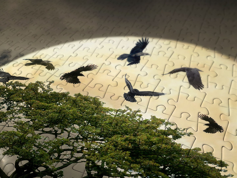 Пазл Зроблена з колод хатина на скелі - A Log Cabin on a Cliff (Enjoy-1614) Киев - изображение 2