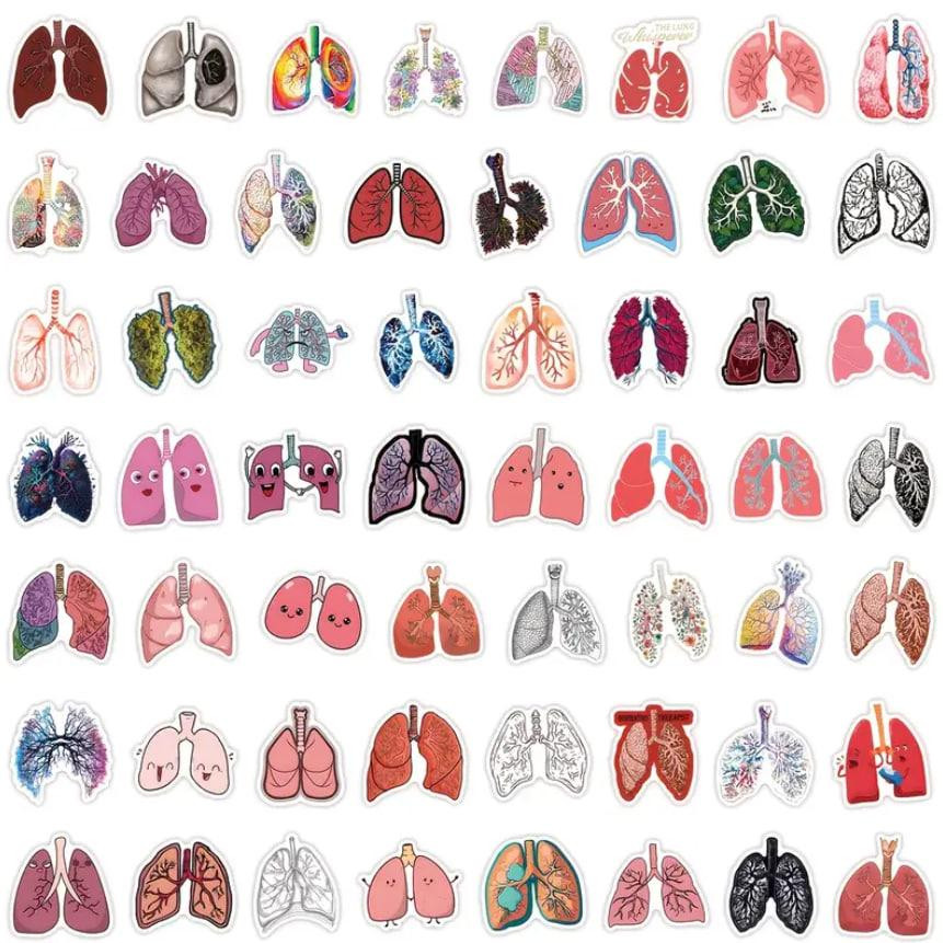 Медичні анатомічні наліпки "Легені людини". Водонепроникні вінілові естетичні наліпки набір 50 шт.,  Київ - фото 5