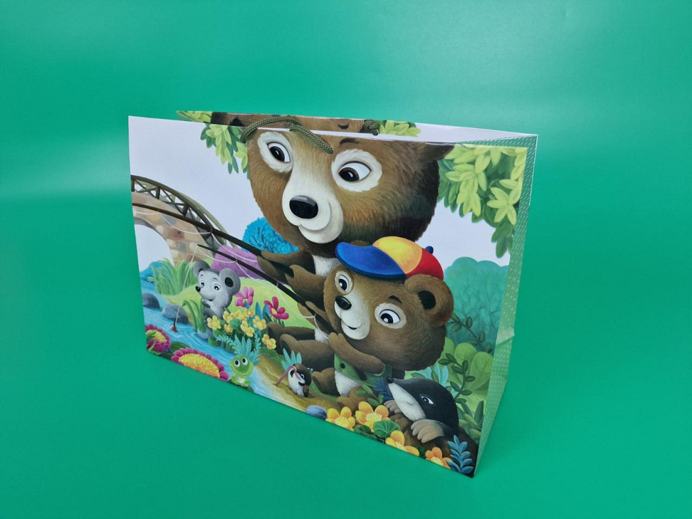 Бумажный большой горизонтальный пакет  36/22/10(артBG-164) (12 шт) Харьков - изображение 1