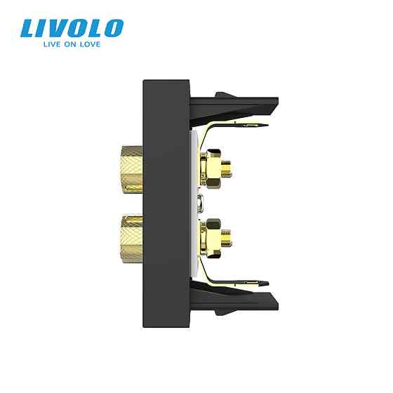 Аудіо розетка LIVOLO Banana Plug, чорна, для колонок / підсилювача, модуль 0.5 поста (VL-FCSD-1BP) Коломыя