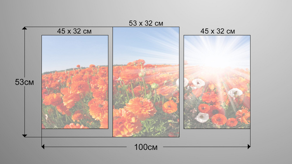 Модульна картина Квіти Маки Art-19_3 Київ - фото 3
