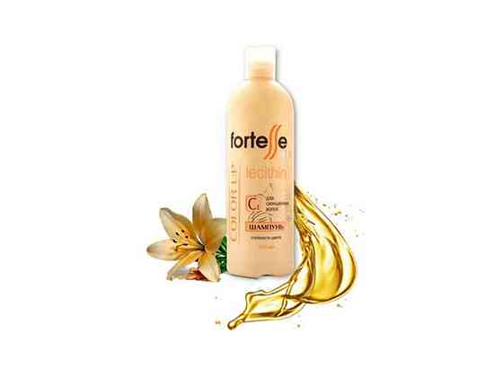 Шампунь Fortesse 400 мл Стійкість кольору/color up ТМ ACME PROFESSIONAL Solmir Київ