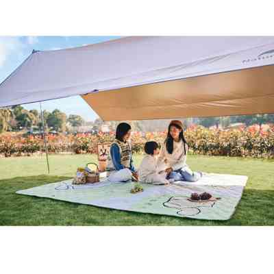 Туристичний килимок Naturehike 210х240 см CNK2350WS010 Світло-салатовий (6976507661713) Вінниця