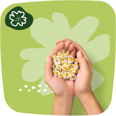 Гигиенические прокладки Naturella Ultra Normal Plus (Размер 2) 18 шт. (8006540098257) Винница - изображение 10