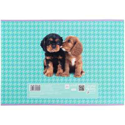 Альбом для малювання Kite Studio Pets, 24 аркуша (SP25-242) Вінниця