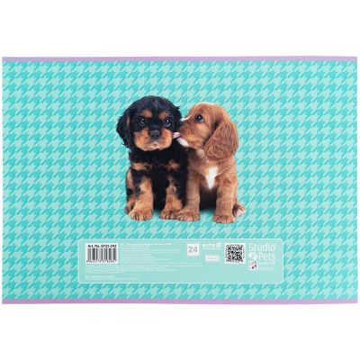Альбом для рисования Kite Studio Pets, 24 листа (SP25-242) Винница - изображение 3