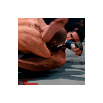 Игра Sony EA Sports UFC 5 , BD диск (1163870) Винница - изображение 8