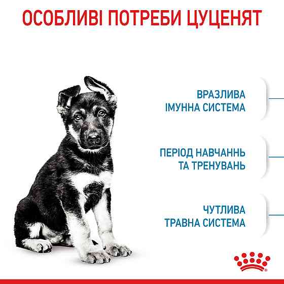 Корм для щенков больших пород собак ROYAL CANIN MAXI PUPPY 4.0 кг Киев