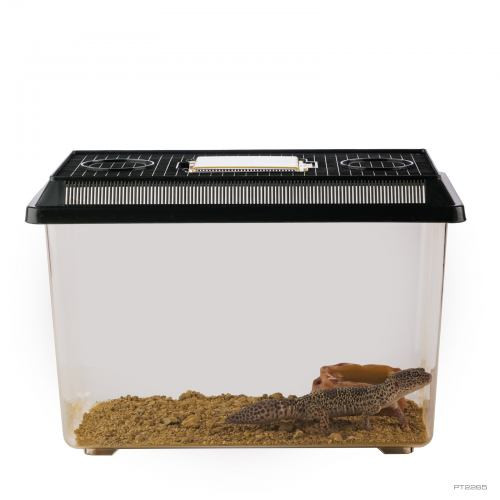 Фаунаріум ExoTerra для транспортування та утримання тварин пластиковий 37х22х25 см Київ - фото 2