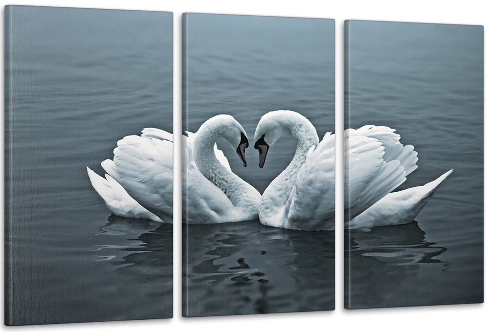 Модульная картина Лебеди Аrt-112_3А 100x150 см Киев - изображение 1