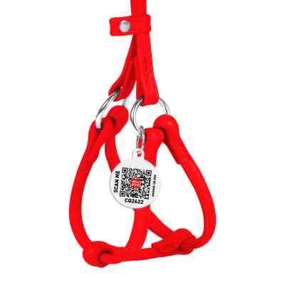 Шлея для собак WAUDOG Glamour з повідцем кругла Д 6 мм А 26-46 см В 30-50 см червона (34013) Вінниця