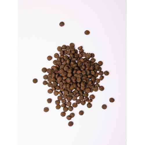 Корм сухий Savory Medium Breed rich in Fresh Turkey and Lamb для дорослих собак середніх порід від 10 до 25 кг зі свіжим ягн Київ