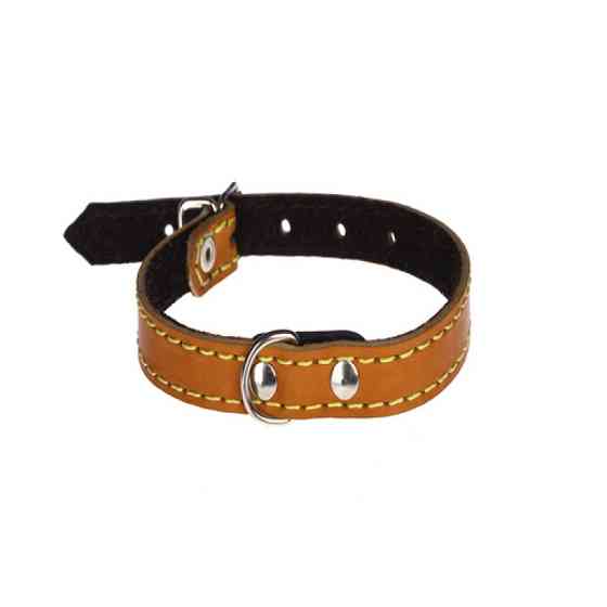 Нашийник 116 14мм "Класик" шкіра подвійний Вінниця