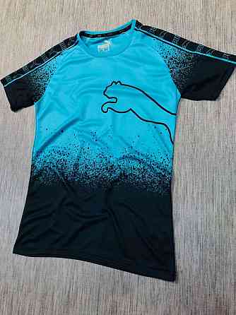 Футболка мужская  Puma EVOSTRIPE Киев