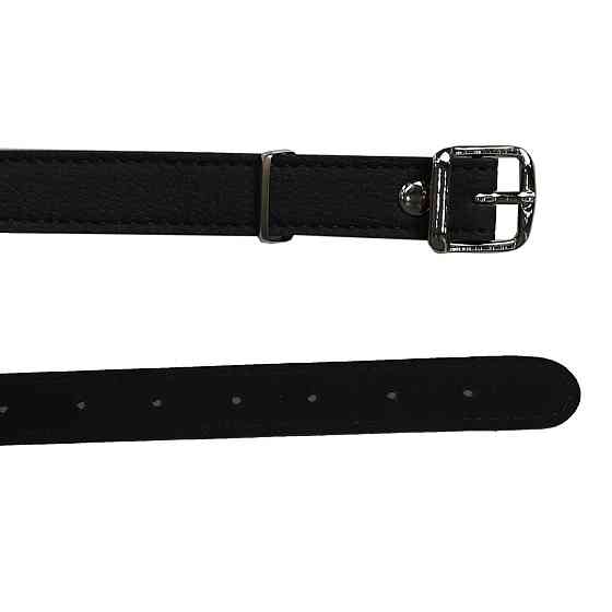 Нашийник - Erospace Wild Play Choker With Ring C17 Sex Aura Київ