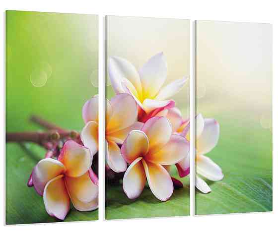 Модульная картина Цветы  Art-71_XXL 53x100 см Киев