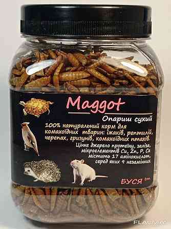Опариш сухий "Maggot" тм Буся. Корм для рептилій, їжаків, птахів, великих риб. 450мл/160г Зміїв