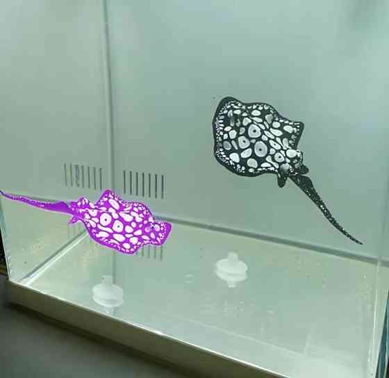 Скат для акваріума штучний силіконовий та люмінесцентний в темноті світяться декор в акваріум розмір 16*9 см чорний Київ